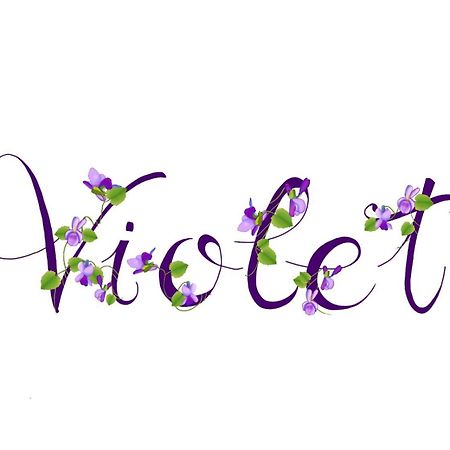 Appartamento Violet - Парма Экстерьер фото